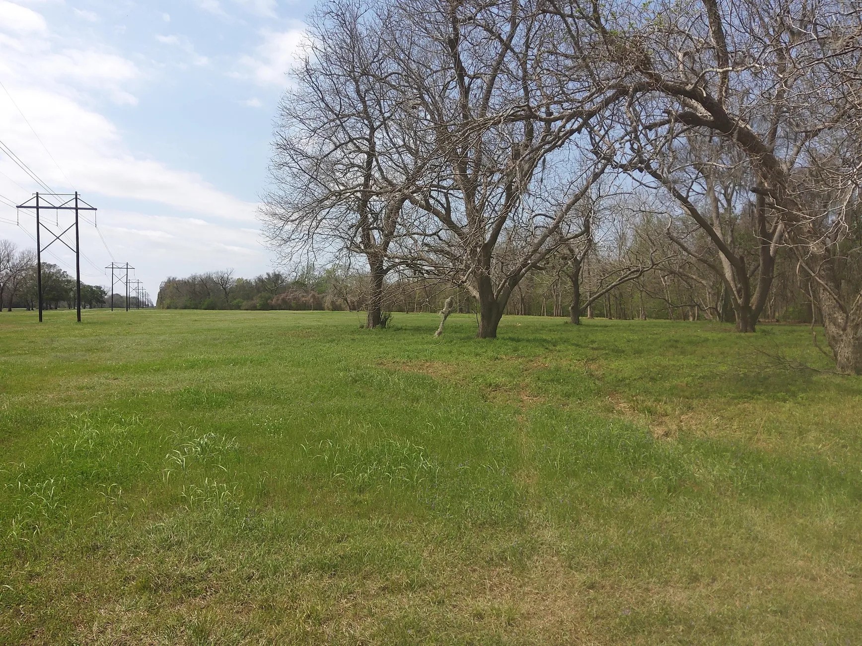 Lot 1 FM 521 Road Angleton, TX 77515 - Photo 6 of 34