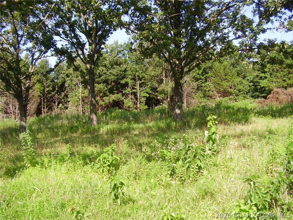 3525 South 240th Road Louisburg, MO 65685 - Photo 11 of 17