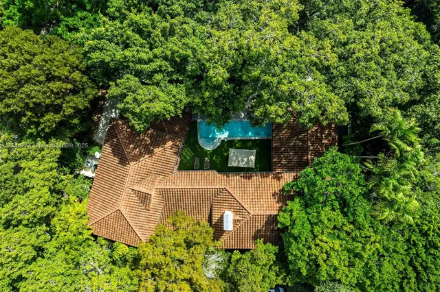 a view of a garden with plants