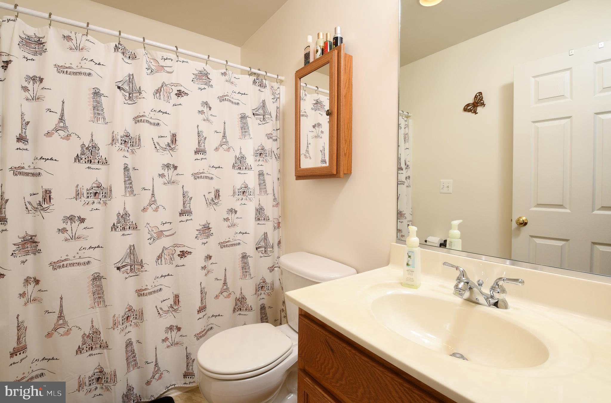 14585 Round Hill Road King George, VA 22485 - Photo 37 of 54 Upstairs hall bathroom