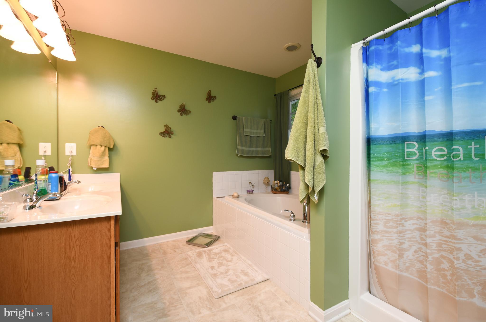 14585 Round Hill Road King George, VA 22485 - Photo 48 of 54 Master bathroom