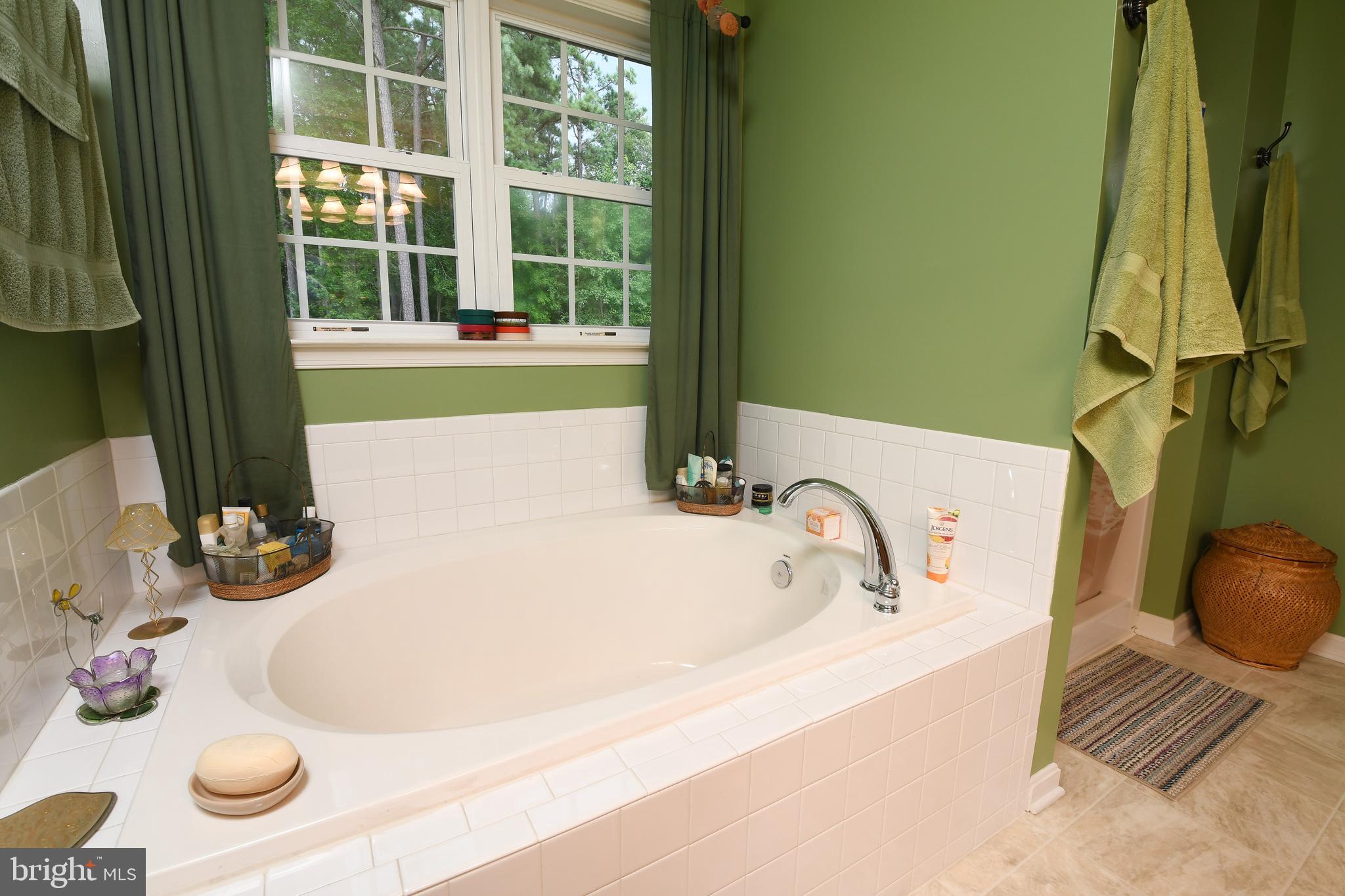 14585 Round Hill Road King George, VA 22485 - Photo 49 of 54 Large soaking tub in master bathroom