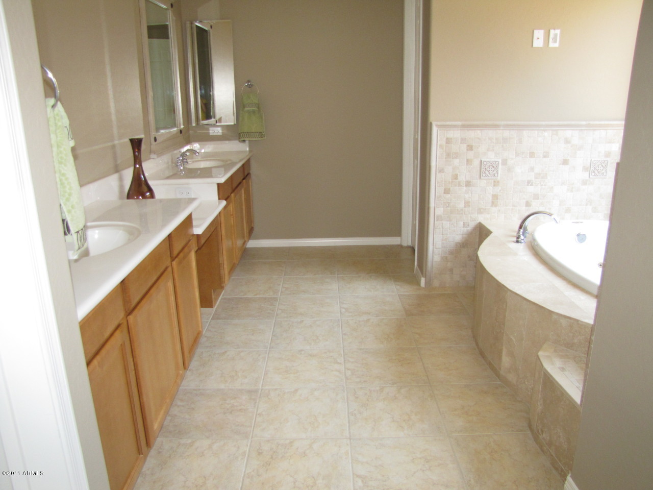 1815 West Brianna Road Phoenix, AZ 85085 - Photo 13 of 20 master bathroom