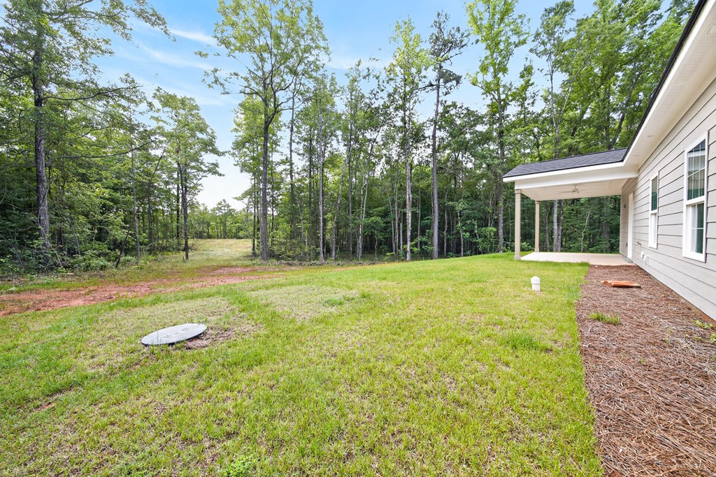 181 Twin Lakes Road Waverly Hall, GA 31831 - Photo 9 of 34