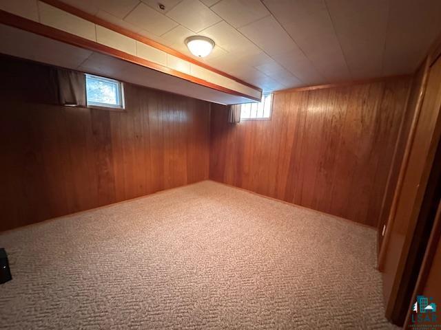 62 Elm Boulevard Babbitt, MN 55706 - Photo 19 of 21 Below grade area featuring wooden walls and carpet flooring