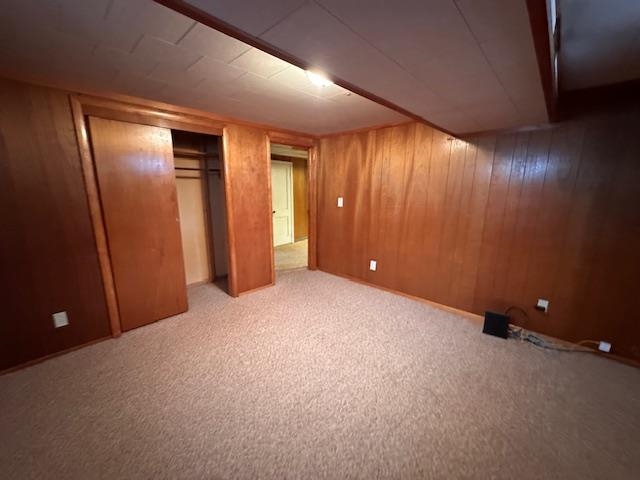62 Elm Boulevard Babbitt, MN 55706 - Photo 21 of 21 Unfurnished bedroom with a closet, carpet floors, and wood walls