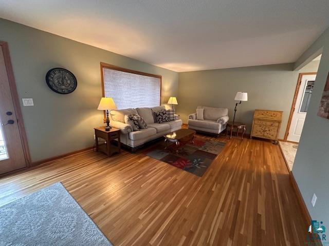 62 Elm Boulevard Babbitt, MN 55706 - Photo 7 of 21 Living area featuring baseboards and wood finished floors