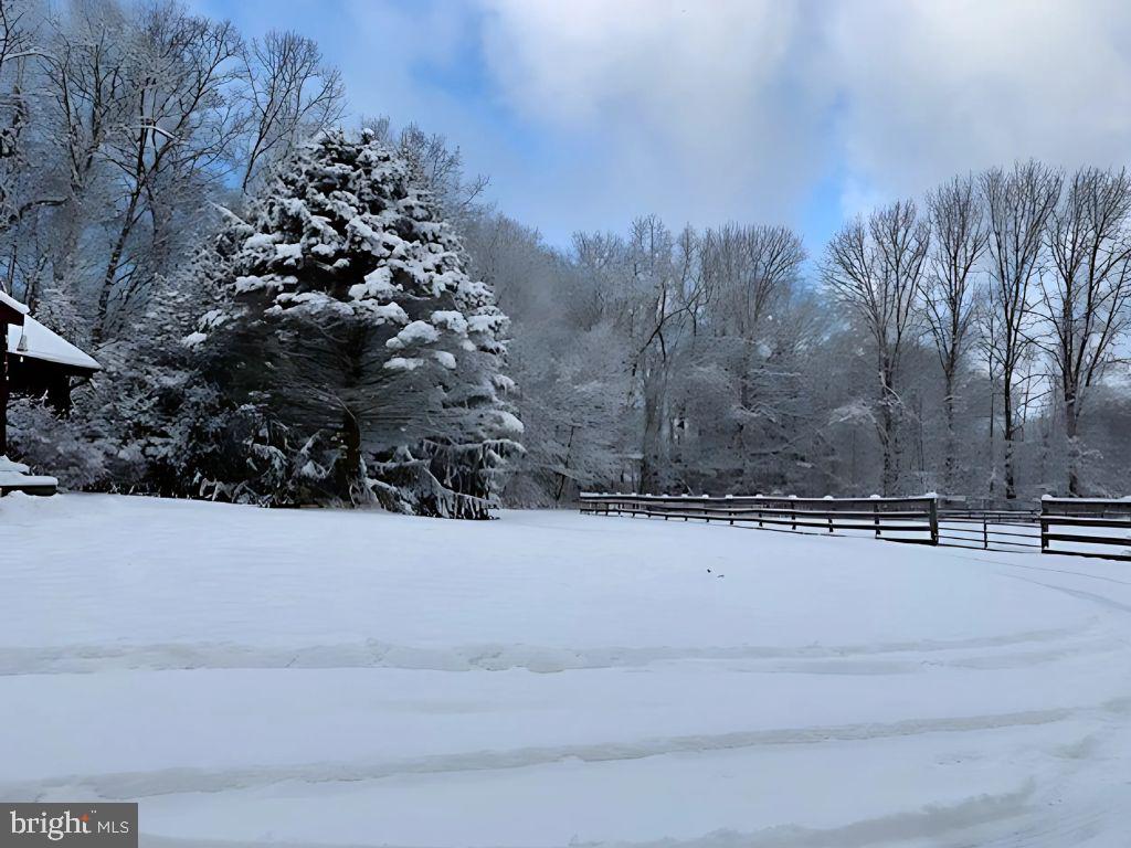 5129 Grave Run Road Manchester, MD 21102 - Photo 53 of 60 a view of a yard with a snow on the road