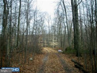 9673 Old Mount Road Bethel, PA 19507 - Photo 1 of 2 Gallery Image 1