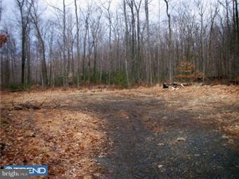 9673 Old Mount Road Bethel, PA 19507 - Photo 2 of 2 Gallery Image 2