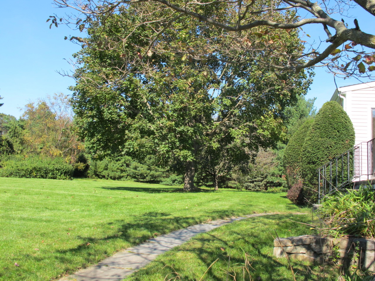 127 Middle Ridge Road New Canaan, CT 06840 - Photo 8 of 9 a view of a grassy field with trees