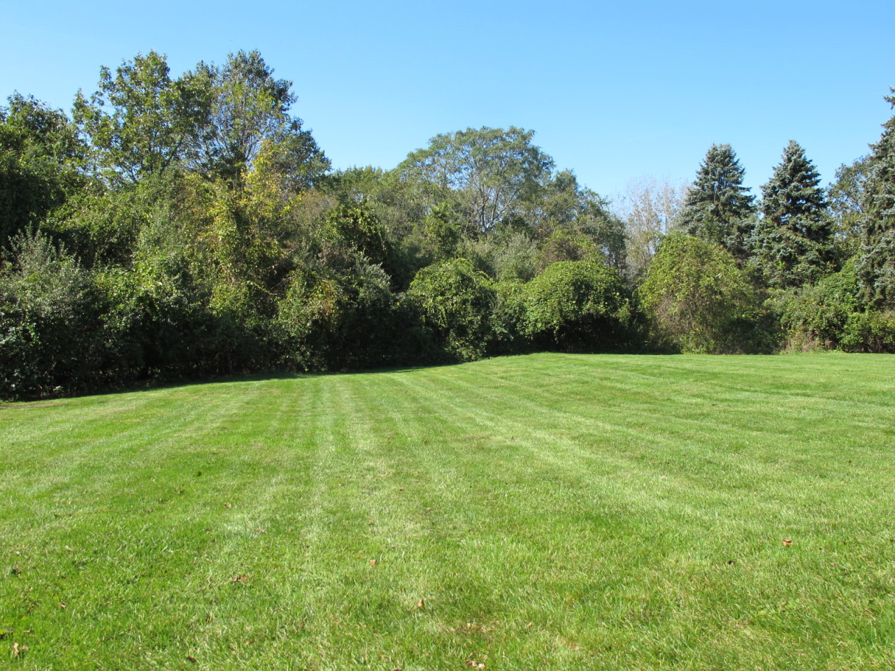 127 Middle Ridge Road New Canaan, CT 06840 - Photo 9 of 9 a view of a grassy field with trees