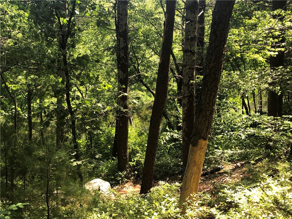 17 Pawcatuck View Road Richmond, RI 02812 - Photo 21 of 21 Open space across street, walk to Pawcatuck River