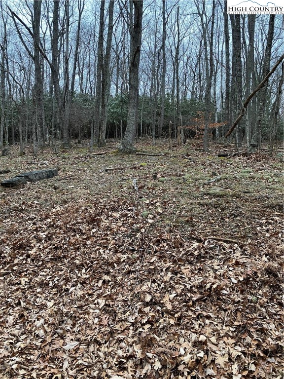 Tbd Lot 26 North Tbd Road Jefferson, NC 28640 - Photo 3 of 3 Gallery Image 3
