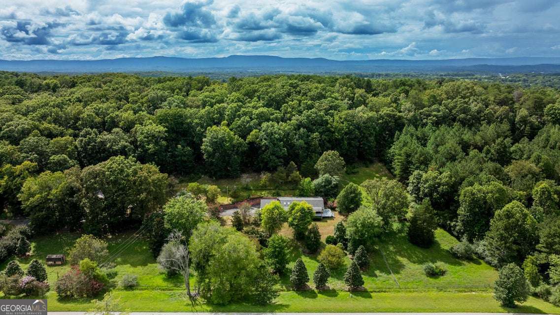 788 Long Hollow Road Rock Spring, GA 30739 - Photo 41 of 47