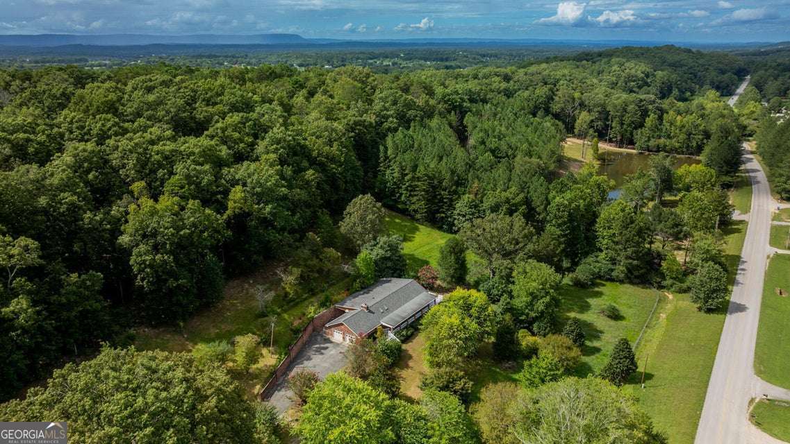 788 Long Hollow Road Rock Spring, GA 30739 - Photo 43 of 47