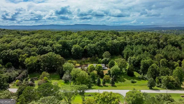 a view of a garden with an outdoor space