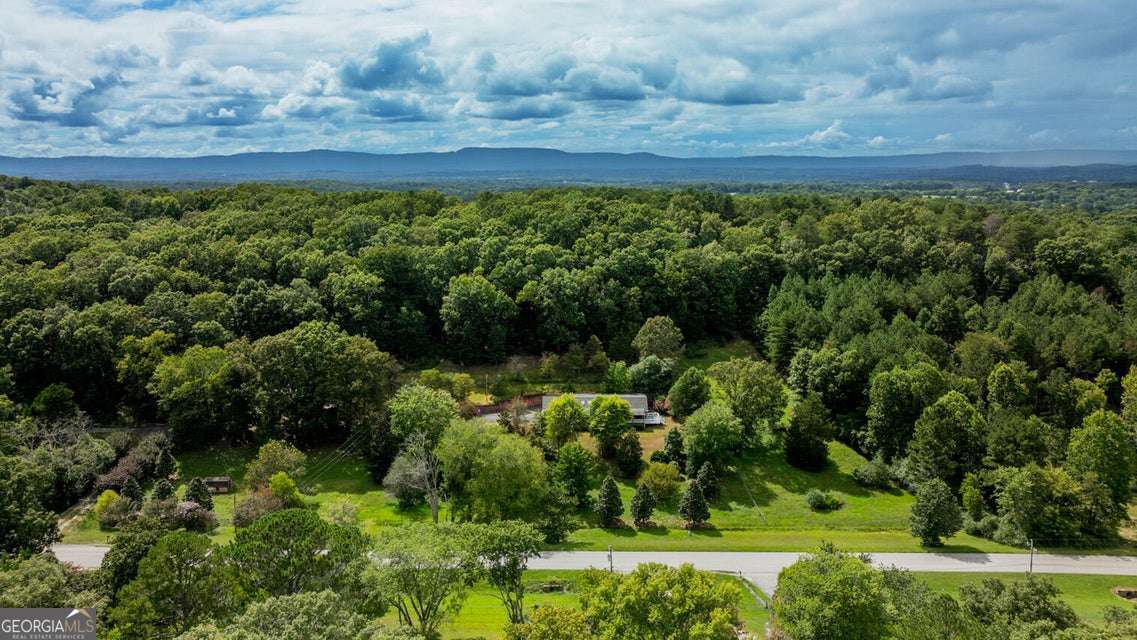 788 Long Hollow Road Rock Spring, GA 30739 - Photo 44 of 47