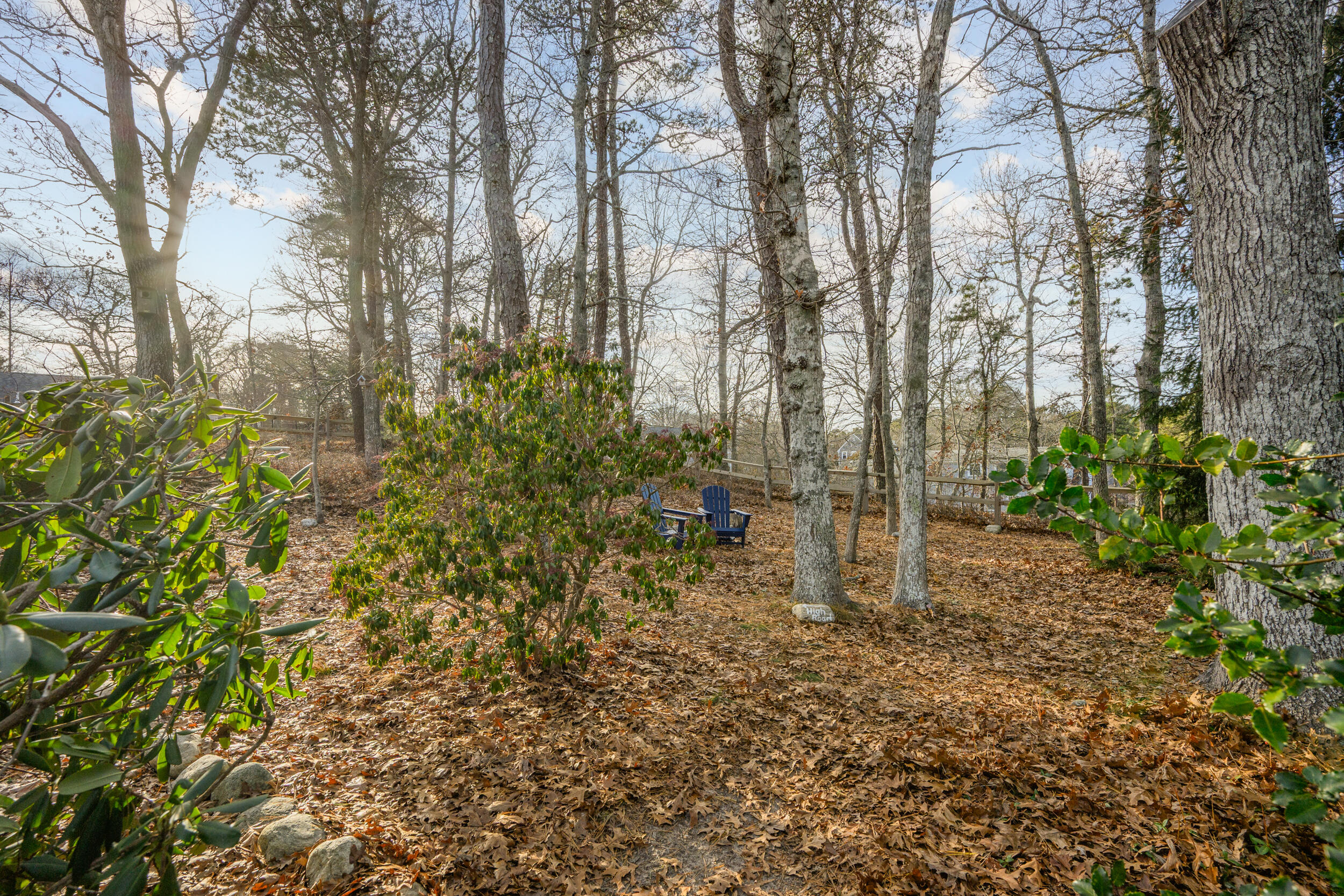 37 Wianno Road Yarmouth Port, MA 02675 - Photo 53 of 65 Beyond backyard