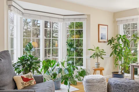 a living room filled with furniture and a potted plant