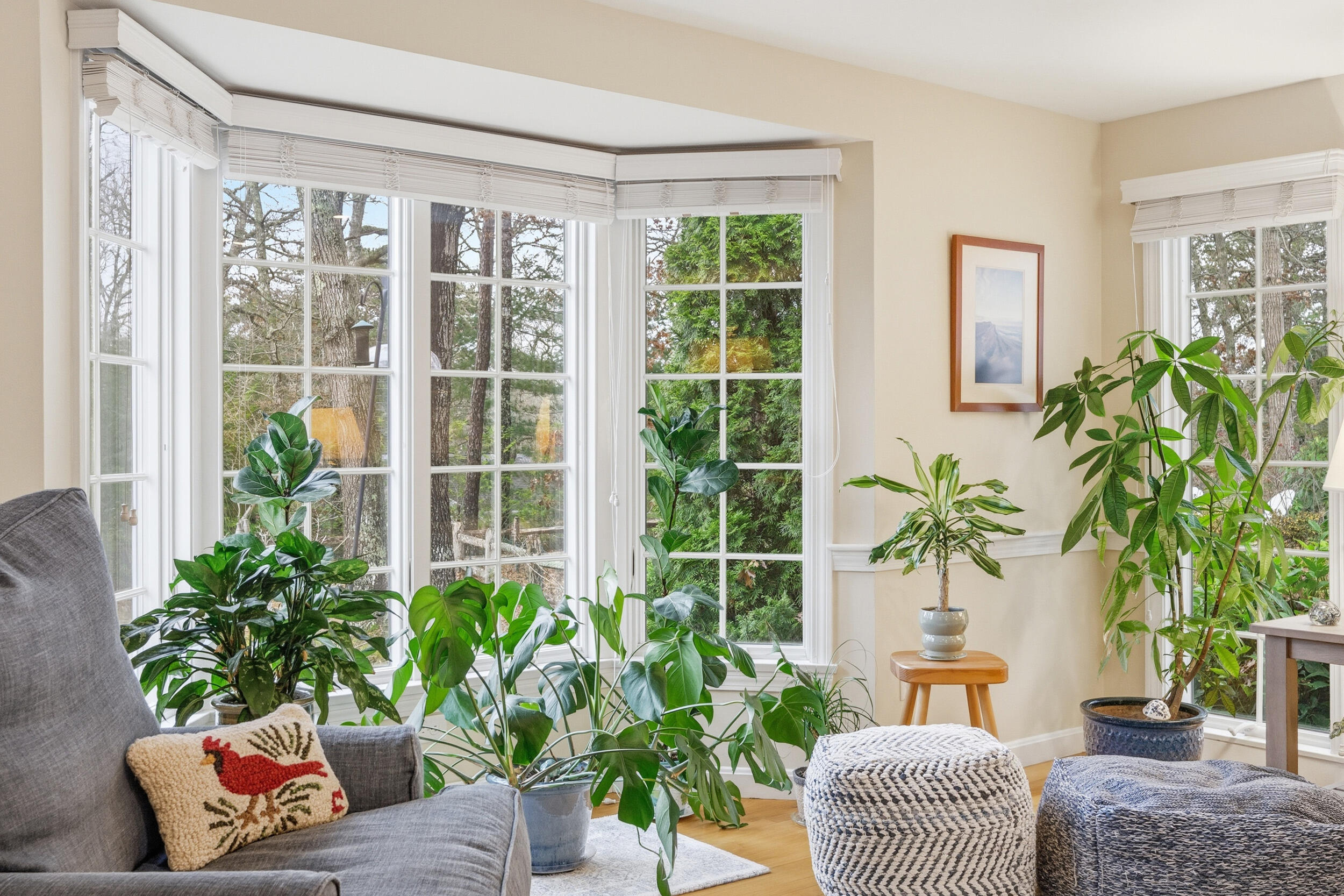 37 Wianno Road Yarmouth Port, MA 02675 - Photo 6 of 65 Bay window