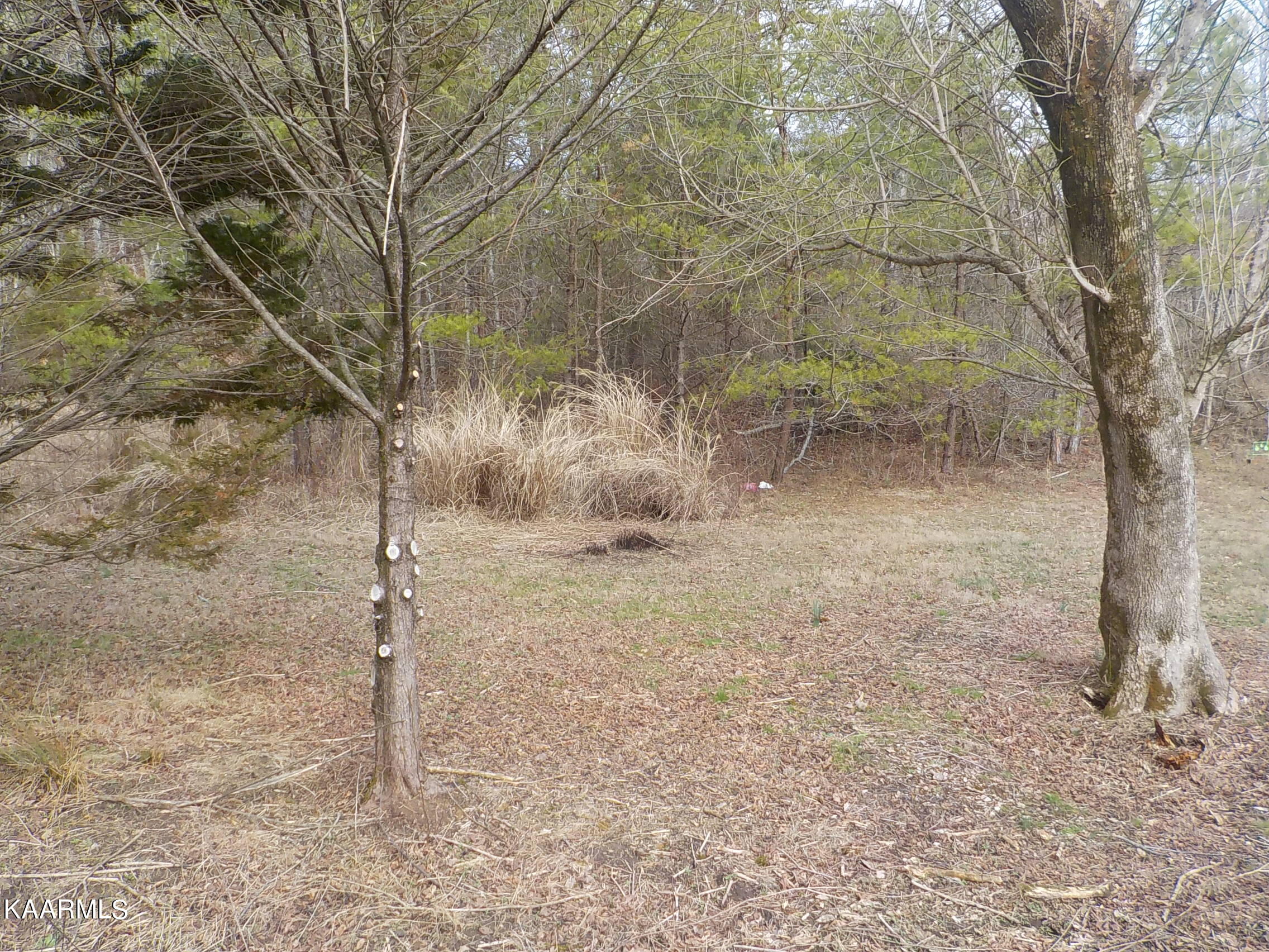 2453 Corbin Lake Road Rutledge, TN 37861 - Photo 1 of 19 DSCN2762