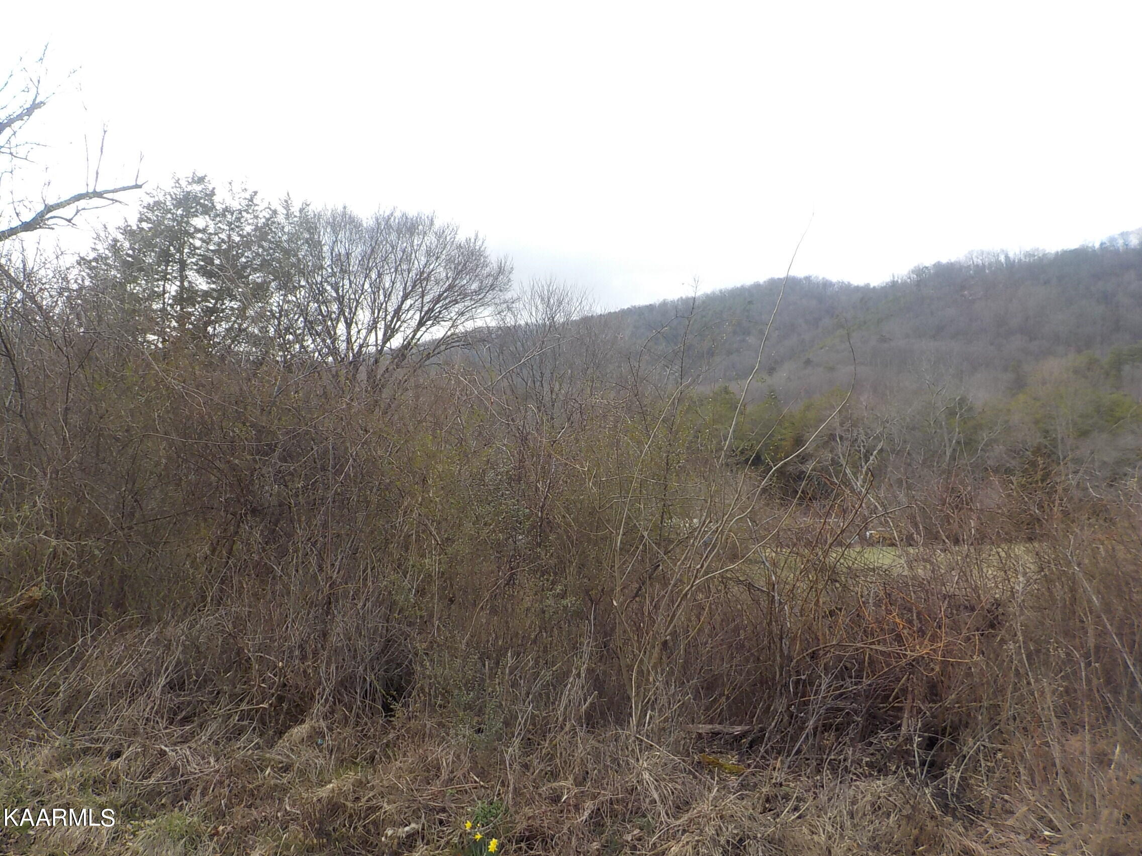 2453 Corbin Lake Road Rutledge, TN 37861 - Photo 11 of 19 DSCN2780