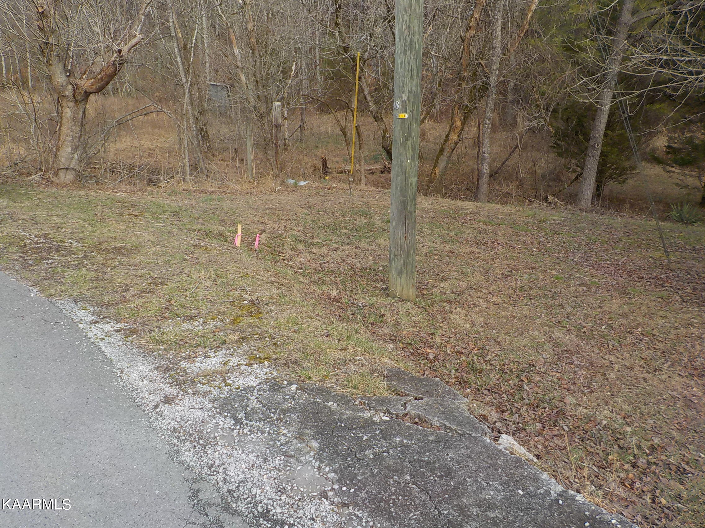 2453 Corbin Lake Road Rutledge, TN 37861 - Photo 13 of 19 DSCN2778