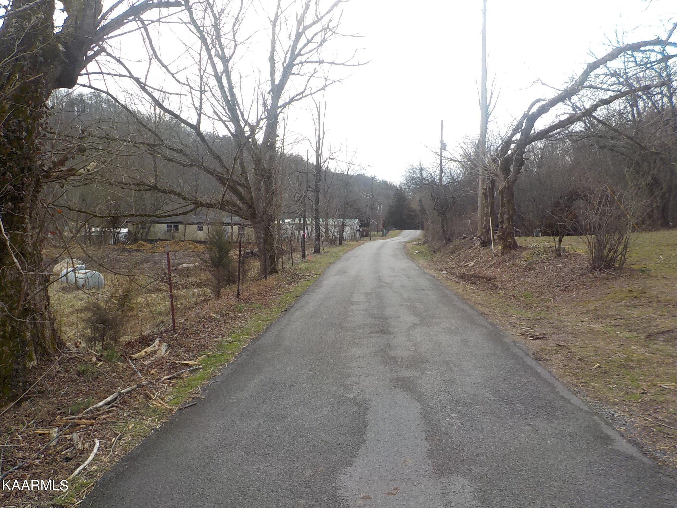 2453 Corbin Lake Road Rutledge, TN 37861 - Photo 17 of 19 DSCN2775