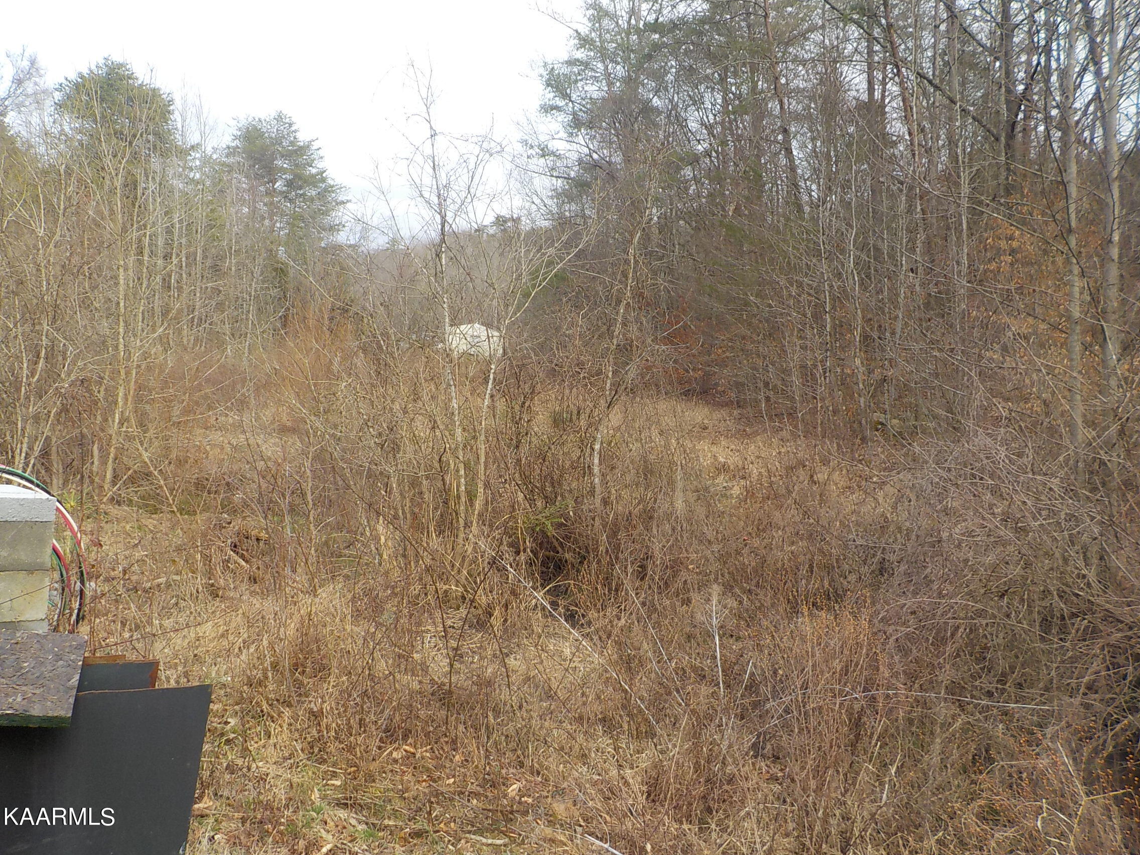 2453 Corbin Lake Road Rutledge, TN 37861 - Photo 18 of 19 DSCN2769