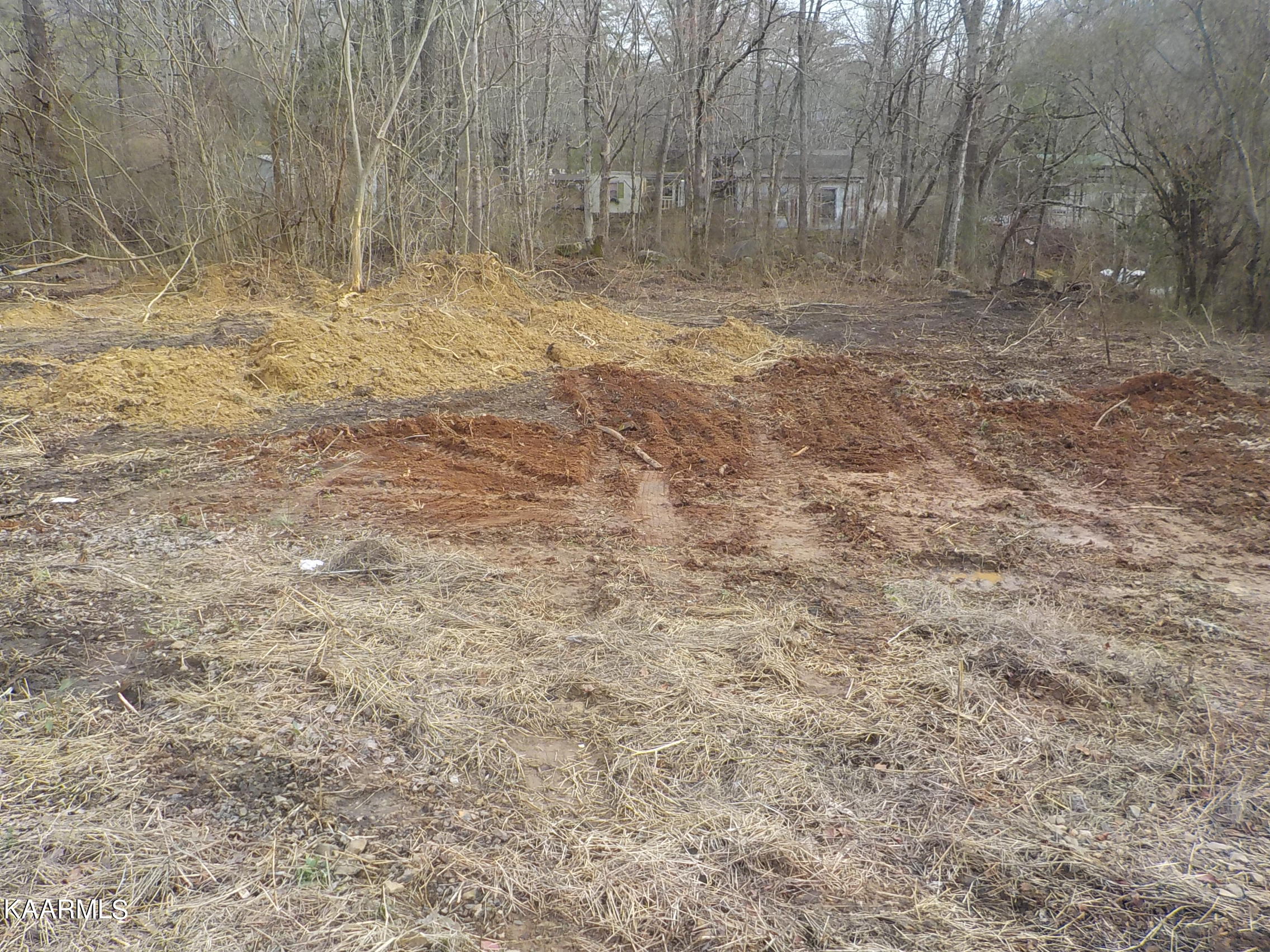 2453 Corbin Lake Road Rutledge, TN 37861 - Photo 10 of 19 DSCN2784