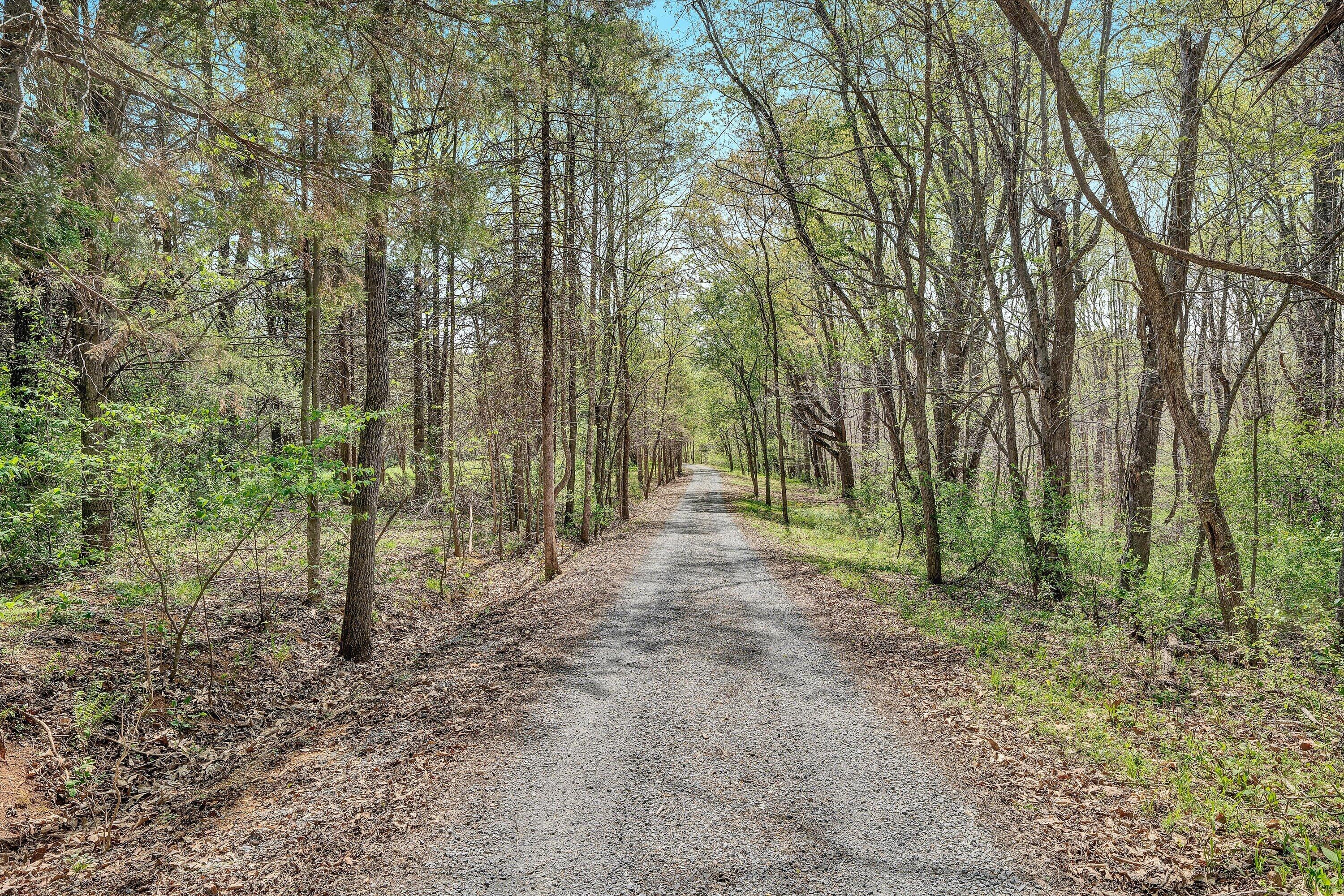 1124 Old Hollow Road Buchanan, VA 24066 - Photo 69 of 73 a view of outdoor space and trees