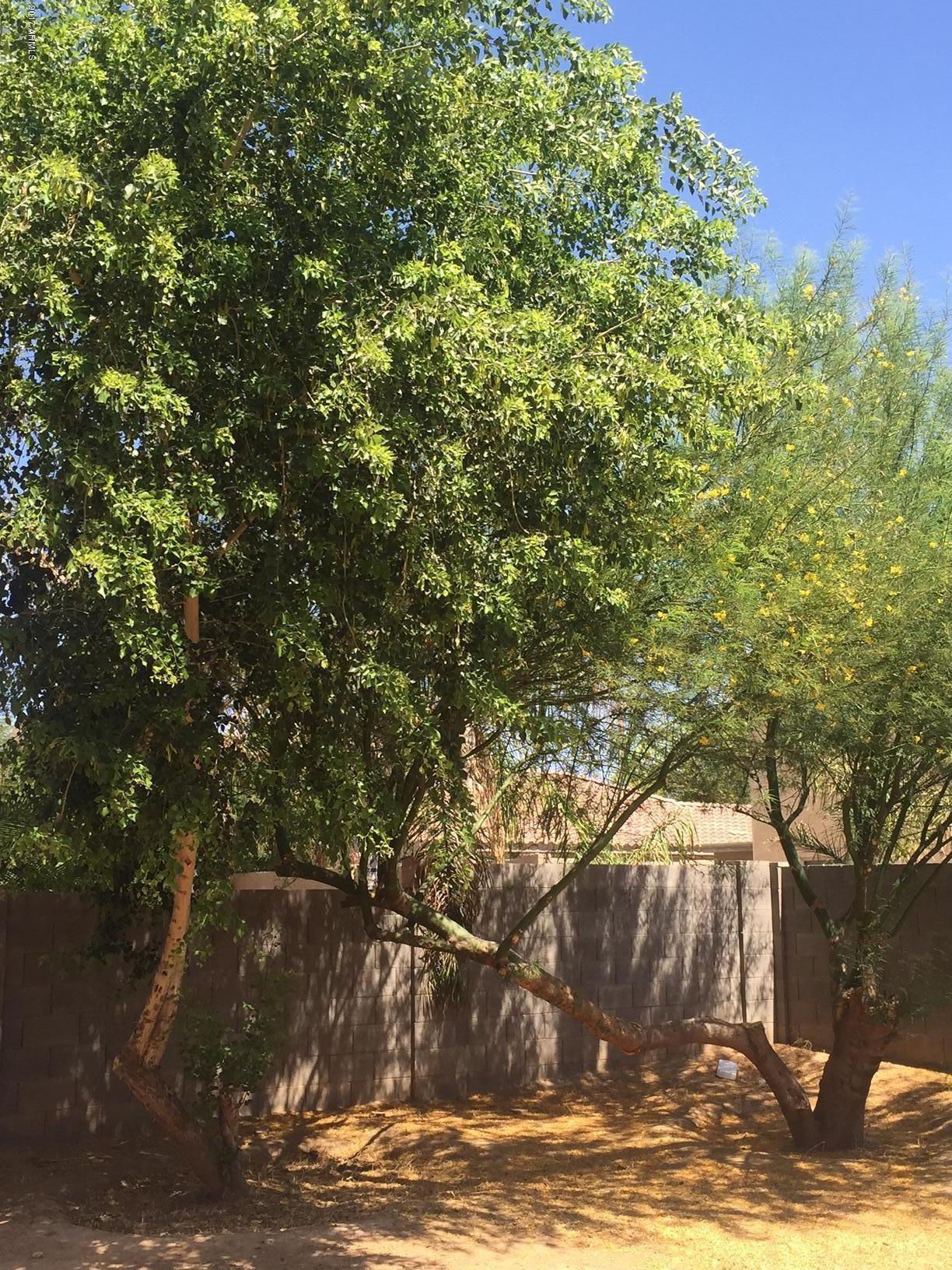 17550 West Hearn Road Surprise, AZ 85388 - Photo 8 of 16 YARD
