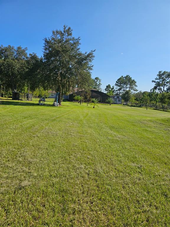 20805 Sheldon Street Orlando, FL 32833 - Photo 18 of 18 a view of a field with an trees