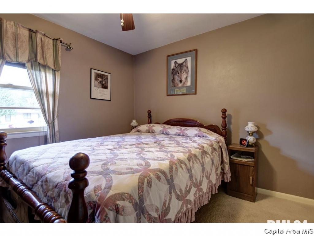 320 Lynwood Lane Springfield, IL 62703 - Photo 22 of 35 Gallery Image 22