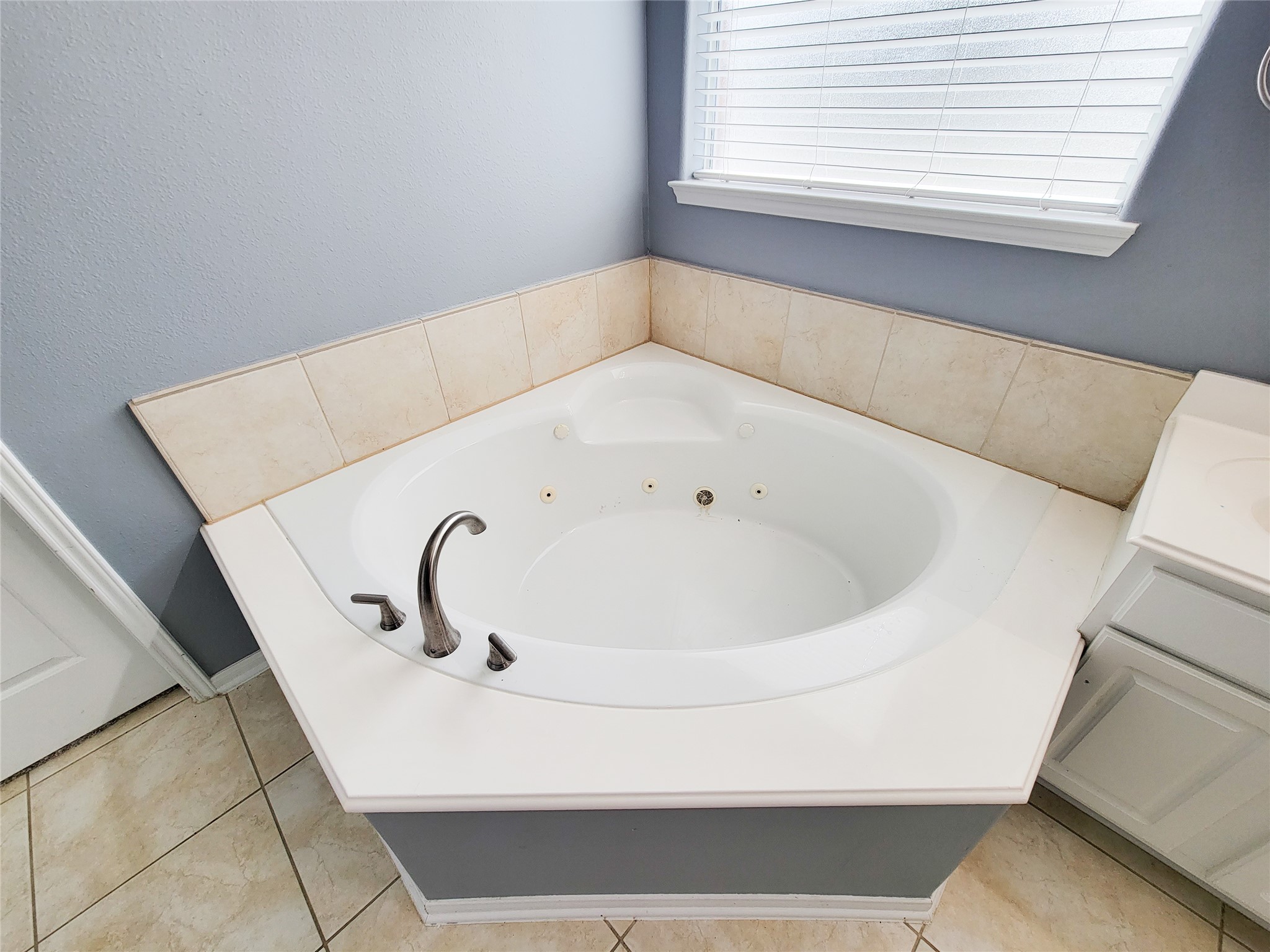 24831 Corbin Gate Drive Spring, TX 77389 - Photo 30 of 44