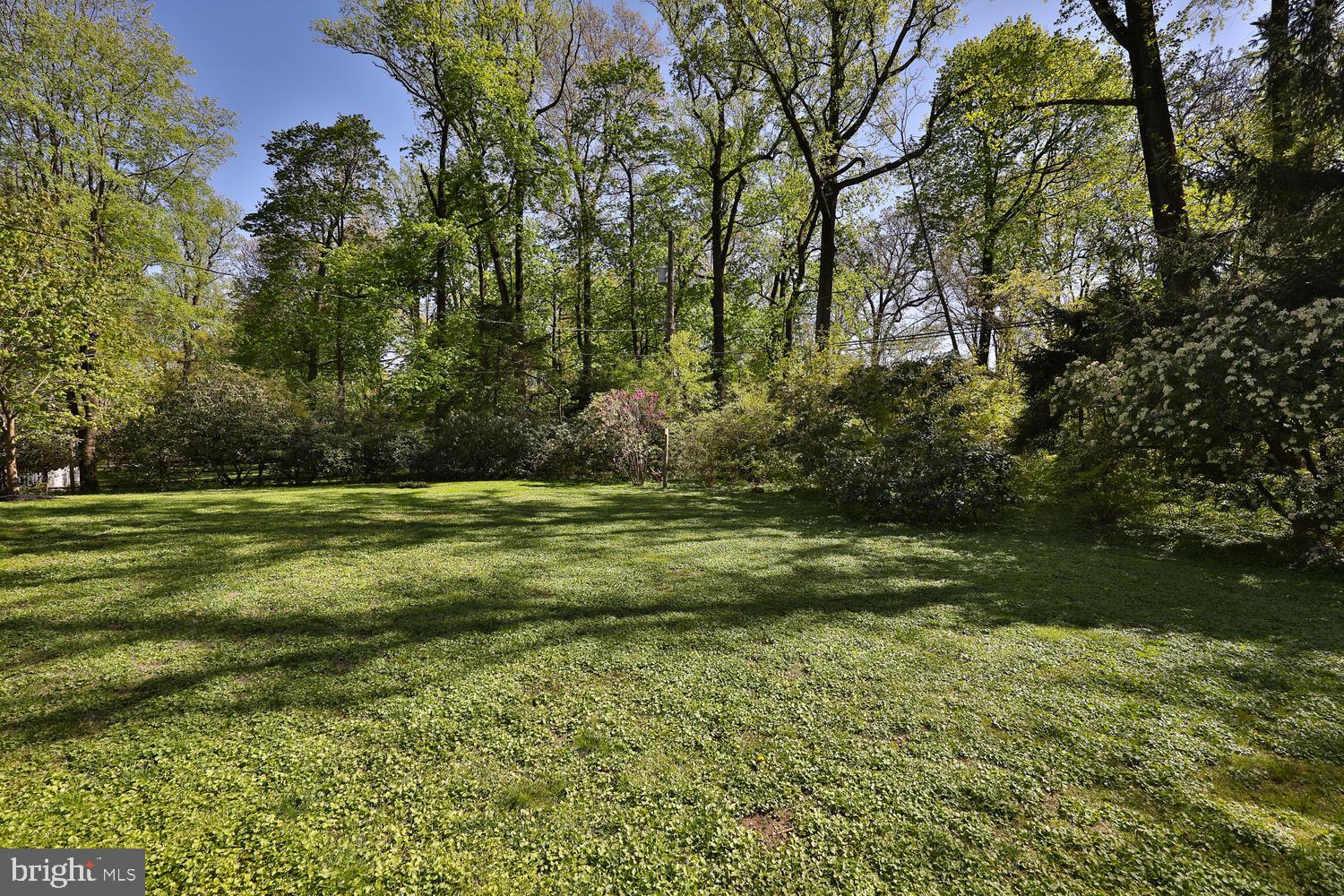 1144 Devon Road Rydal, PA 19046 - Photo 49 of 52 Backyard