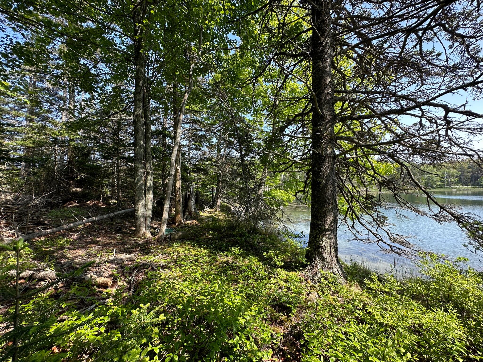 31 Fay Road Spruce Head, ME 04859 - Photo 56 of 77 15466AF4-48B1-4711-AEB5-D4DF1ACBB8A7