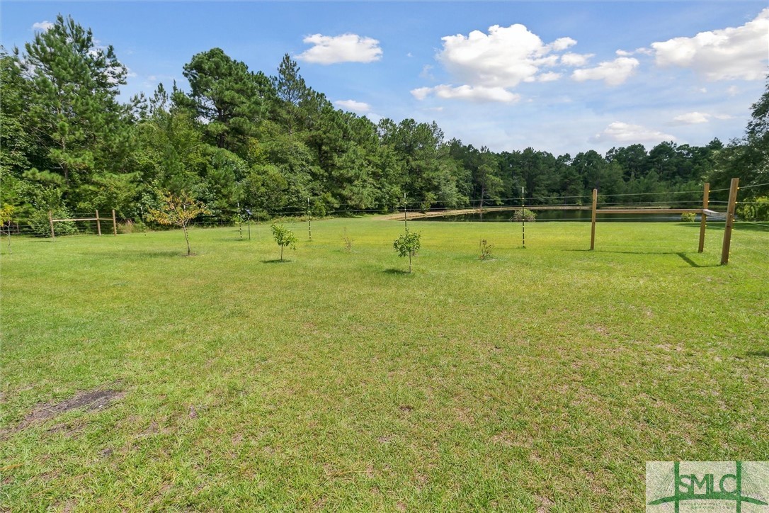 1288 Freddie And Joyce Clay Road Collins, GA 30421 - Photo 41 of 49
