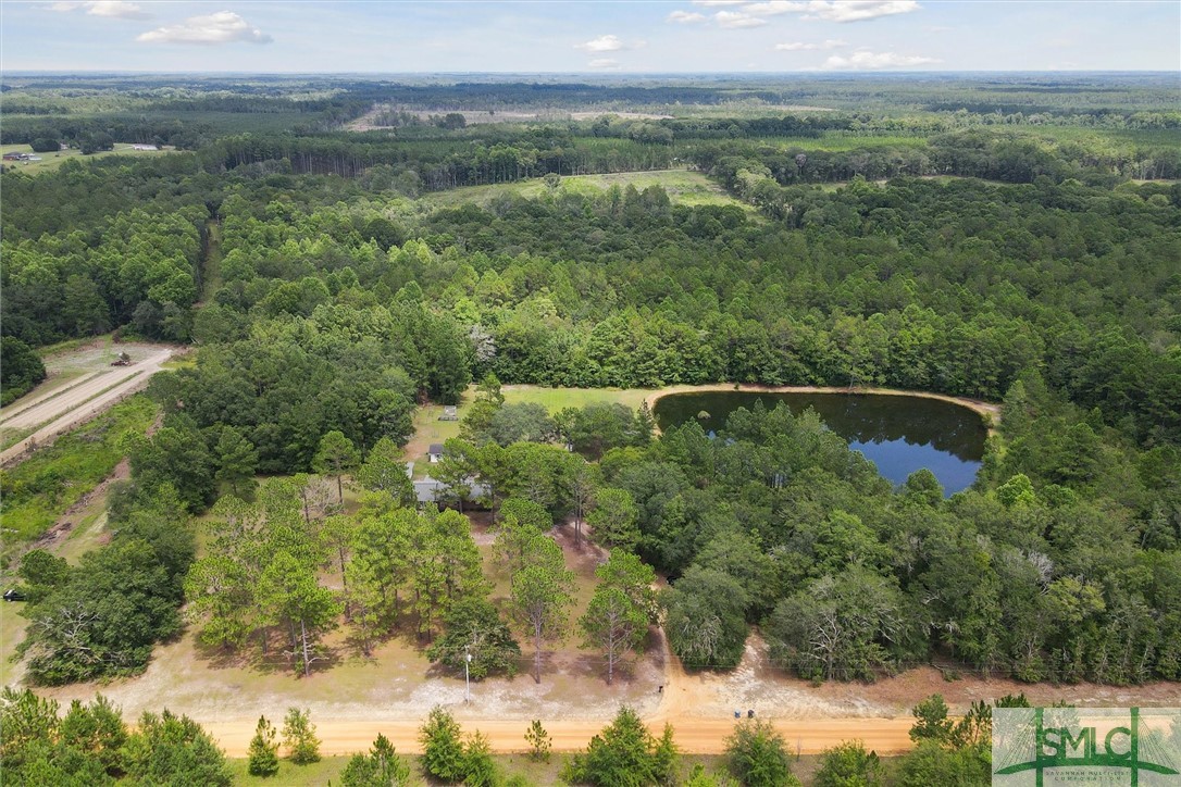 1288 Freddie And Joyce Clay Road Collins, GA 30421 - Photo 46 of 49