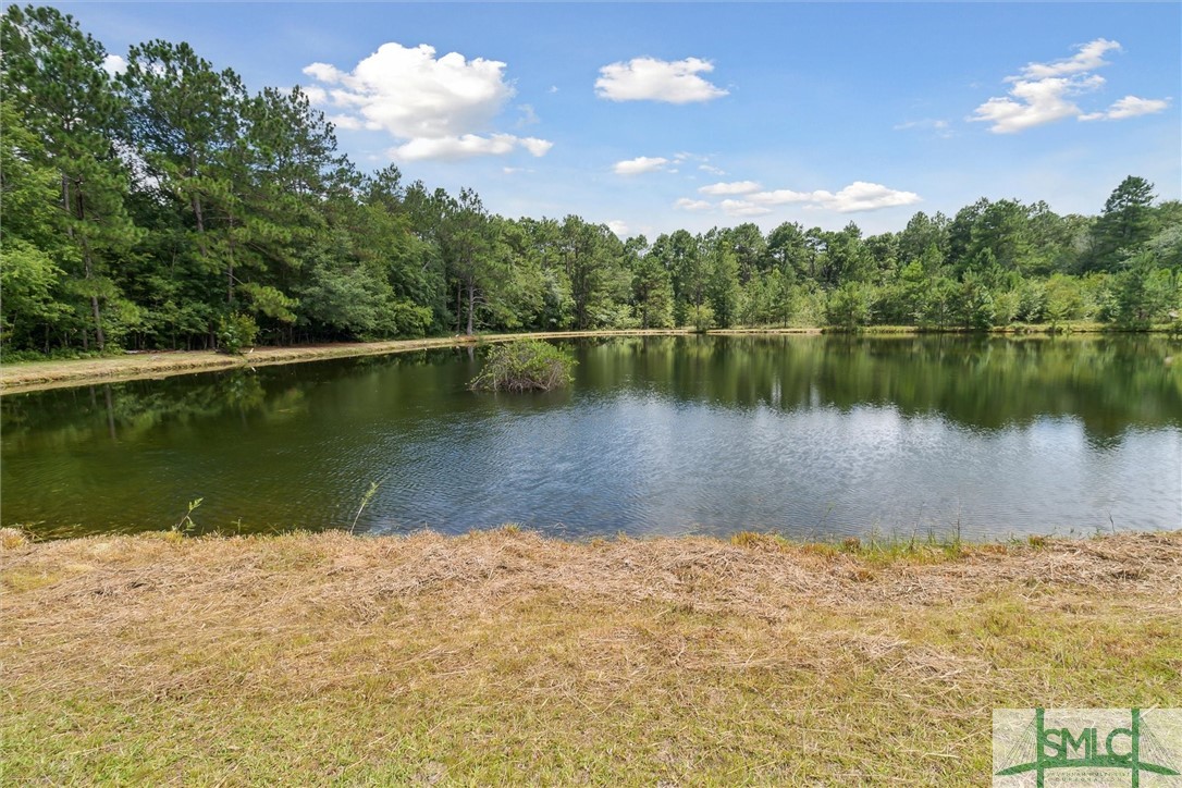 1288 Freddie And Joyce Clay Road Collins, GA 30421 - Photo 48 of 49