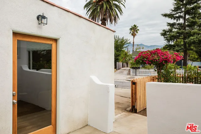 a potted plant sitting in front of a house