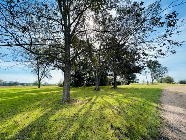 270 Stogner Road Sandy Hook, MS 39478 - Photo 3 of 21 Photo 3