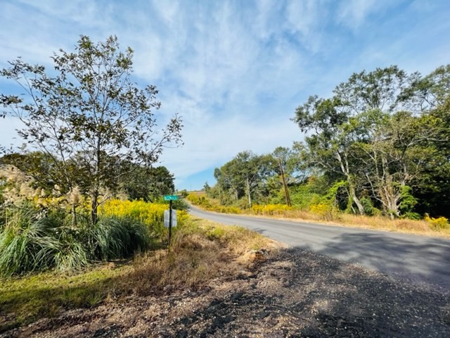 270 Stogner Road Sandy Hook, MS 39478 - Photo 5 of 21 Photo 5