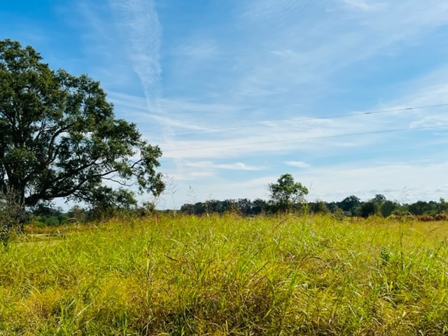 270 Stogner Road Sandy Hook, MS 39478 - Photo 9 of 21 Photo 9