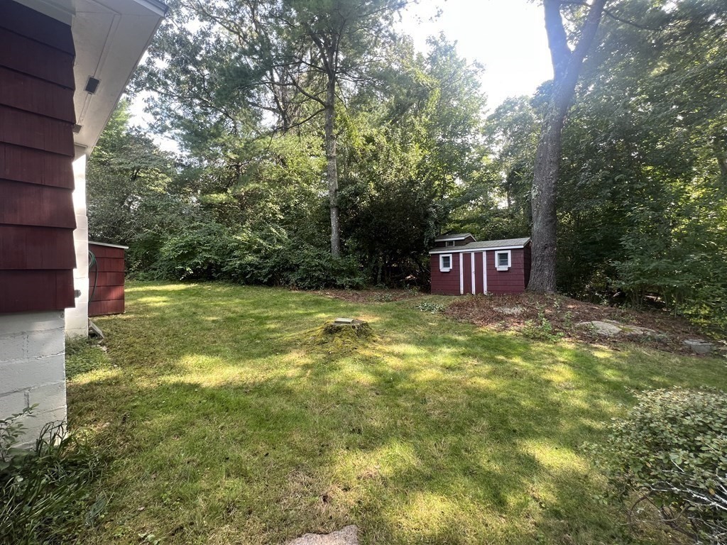 11 Tower Road Ashland, MA 01721 - Photo 30 of 31 a fire hydrant in the middle of a yard