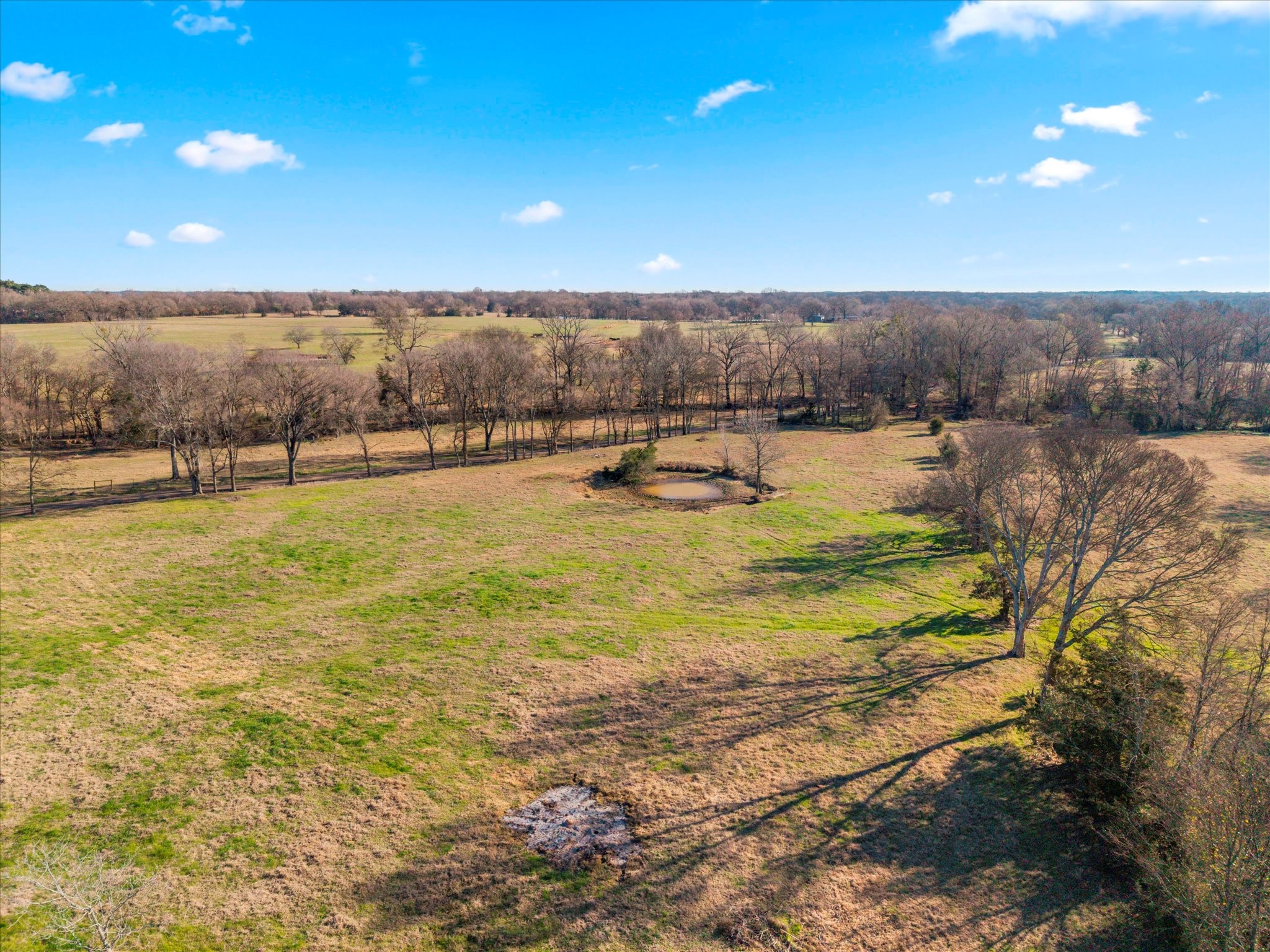 4315 County Road Omaha, TX 75571 - Photo 5 of 19