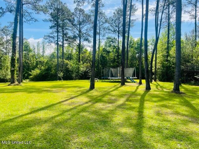 30 Rivers Lane Carriere, MS 39426 - Photo 24 of 30 IMG_5236