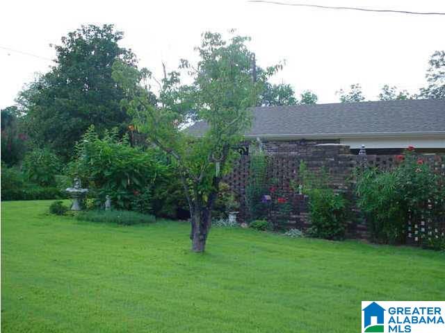 705 Chestnut Street Oneonta, AL 35121 - Photo 6 of 26