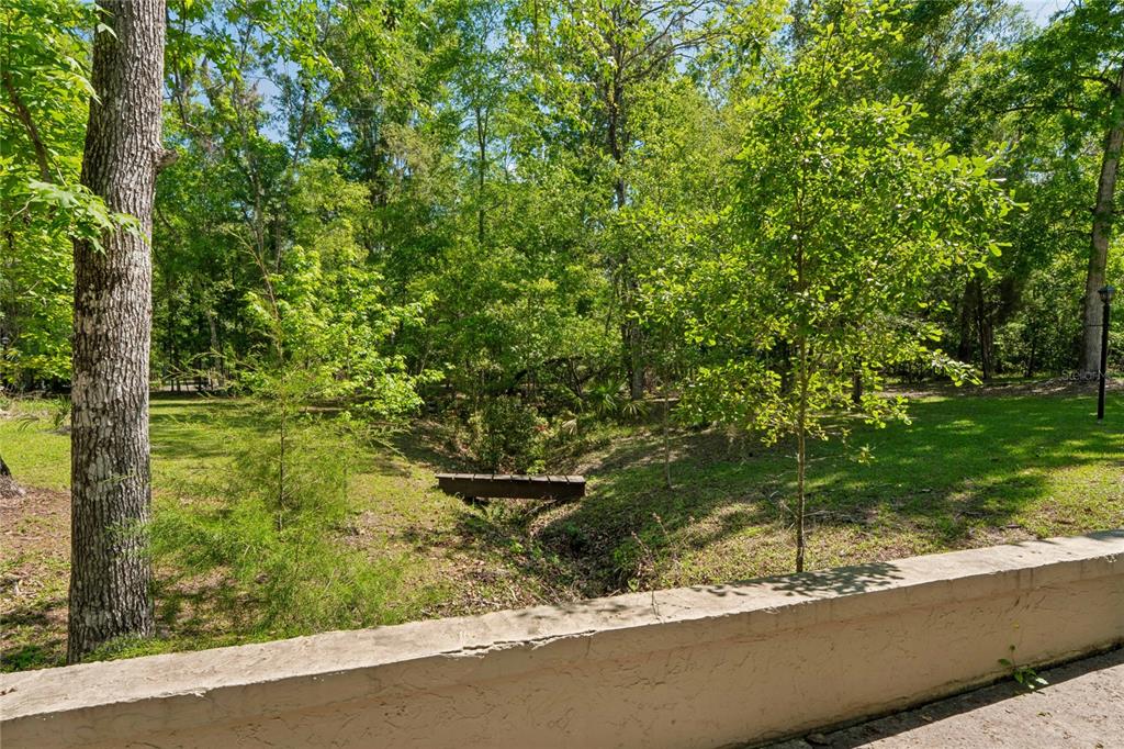 20424 Marguerite Road Brooksville, FL 34601 - Photo 65 of 83